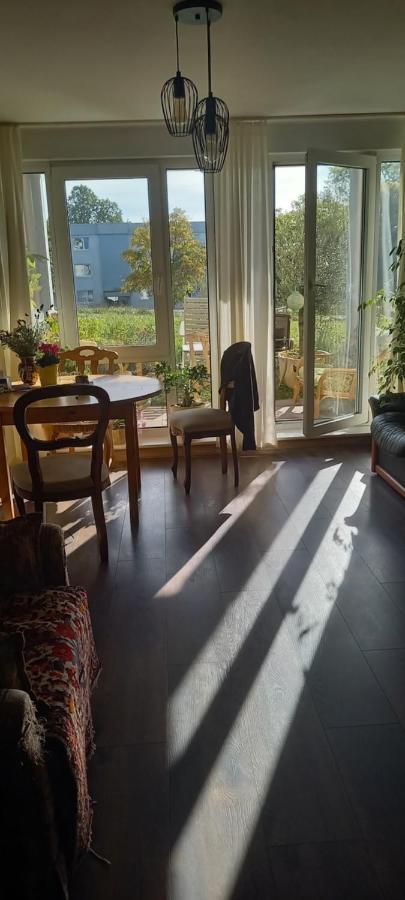 Gruene Stadtwohnung Saarbrücken Esterno foto